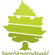 Zielone oblicze Gdyni