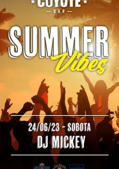 SUMMER VIBES x DJ MICKEY