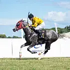 Wyścigi konne Sopot 2023