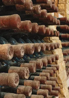 Warsztaty kulinarne/degustacja (abc wina) Bordeaux