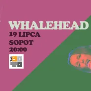 Boto Open Air: Whalehead Coda
