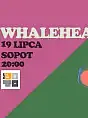 Boto Open Air: Whalehead Coda