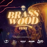 Brasswood Fest Before. DJ Ane