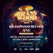 Brasswood Fest before. DJ Ane
