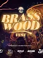 Brasswood Fest Before. DJ Ane