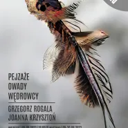 Grzegorz Rogala, Joanna Krzysztoń | Pejzaże. Owady. Wędrowcy - wystawa