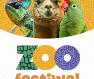 ZOO Festiwal