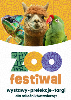 ZOO Festiwal