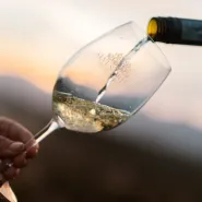 Zakochaj się w Winie v.2 Sauvignon Blanc jakiego nie znacie czyli nowości od Alvi's Drift