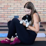 Puppy Yoga z Border Collie