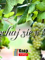 Zakochaj się w Winie v4 Chardonnay: Degustacja stylów z 5 kontynentów