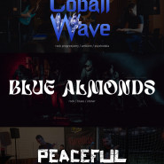 Cobalt Wave + Blue Almonds + PP