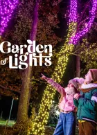 Garden of Lights - Pinokio - Ogród świateł 