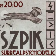 Koncert zespołu Szpik