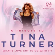 Tribute to Tina Turner
