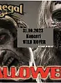Koncert Wild Rover w Halloween