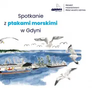 Spacer ornitologiczny | Spotkanie z ptakami morskimi w Gdyni