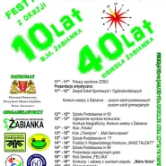 Festyn Święto Żabianki