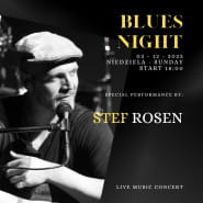 Koncert bluesowy | Blues night - Stef Rosen
