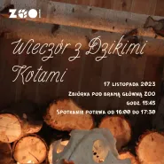 Wieczór z Dzikimi Kotami w ZOO Gdańsk