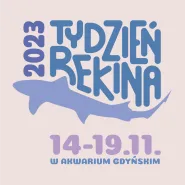 Tydzień Rekina w Akwarium Gdyńskim