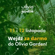 Wejdź do Olivia Garden za darmo!