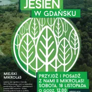 Jesień w Gdańsku | II Miejski Mikrolas w Gdańsku
