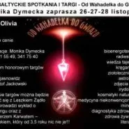 Od Wahadełka do Gwiazd