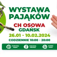 Wystawa pająków w Gdańsku