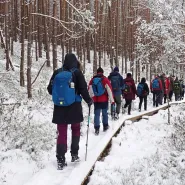 Zimowa wyprawa wędrowna przez serce Parku Narodowego Bory Tucholskie