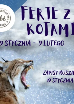 Ferie w Gdańskim zoo | Z dzikimi kotami
