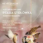 W rytmie natury: Zima - Ptasia stołówka | warsztaty rodzinne
