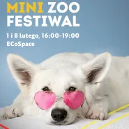 Mini Zoo Festiwal w Matarni