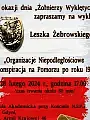Wykład Leszka Żebrowskiego "Organizacje Niepodległościowe"