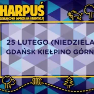 Harpuś - Rusz z mapą po przygodę!