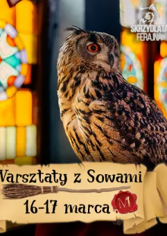 Warsztaty z Sowami