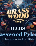 Brasswood Fest 2024 | Pylenie