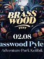 Brasswood Fest 2024 | Pylenie
