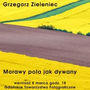 Morawy pola jak dywany | wystawa Grzegorza Zieleńca