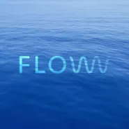 Flow koncert 
