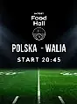 Transmisja meczu Polska - Walia 