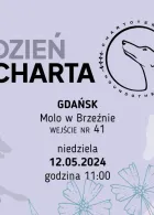 Gdański Charytatywny Spacer z Chartami - Chartoterapia