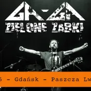 Gdańsk: koncert Ga-Ga Zielone Żabki w Paszczy Lwa