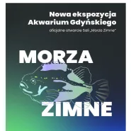 Otwarcie nowej ekspozycji Akwarium Gdyńskiego Morza Zimne