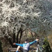 Wycieczka rowerowa wśród kwitnących sadów Dolnej Wisły