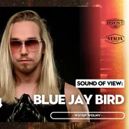 Sound of view: Blue Jay Bird