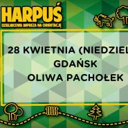 Harpuś - Rusz z mapą w lasy oliwskie