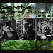 Środowy Jazz Jam:  Piotr Stanzecki Trio  w ogrodzie