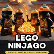 Warsztaty LEGO dla najmłodszych | Lego Ninjago