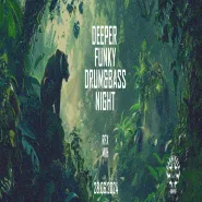 RFX b2b MIH | Deeper Funky DrumnBass Night